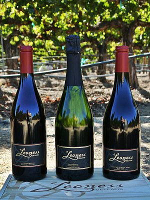 leoness award wining wines