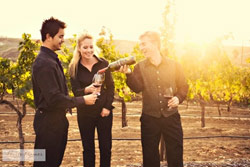 vineyard tours with wine at leoness
